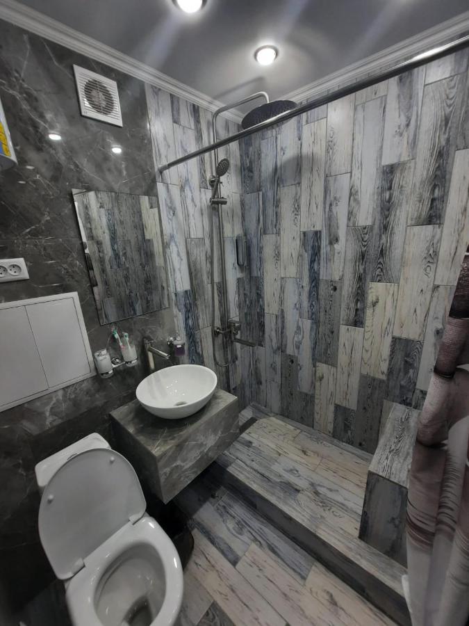Люкс академика сатпаева 19 Apartment Павлодар Екстериор снимка